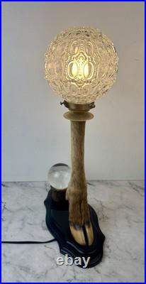 Cabinet Curiosité Taxidermie Lampe Boule de Cristal