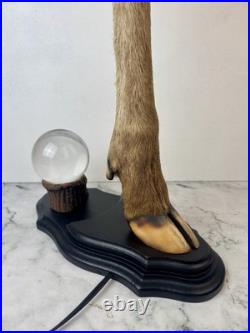 Cabinet Curiosité Taxidermie Lampe Boule de Cristal