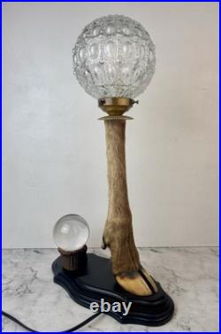 Cabinet Curiosité Taxidermie Lampe Boule de Cristal