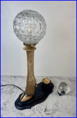 Cabinet Curiosité Taxidermie Lampe Boule de Cristal