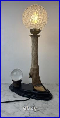 Cabinet Curiosité Taxidermie Lampe Boule de Cristal