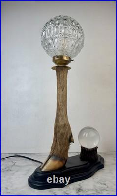 Cabinet Curiosité Taxidermie Lampe Boule de Cristal