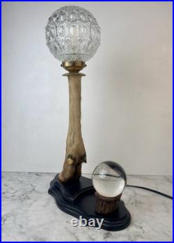 Cabinet Curiosité Taxidermie Lampe Boule de Cristal
