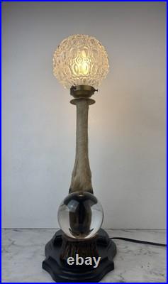 Cabinet Curiosité Taxidermie Lampe Boule de Cristal