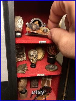 Cabinet de curiosité miniature