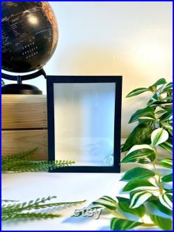 Cadre Entomologique Vide 18x13 cm Bois Noir and Fond Emalène blanc Présentation Insectes Cabinet De Curiosités Décoration