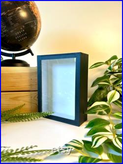 Cadre Entomologique Vide 18x13 cm Bois Noir and Fond Emalène blanc Présentation Insectes Cabinet De Curiosités Décoration