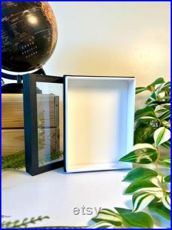 Cadre Entomologique Vide 18x13 cm Bois Noir and Fond Emalène blanc Présentation Insectes Cabinet De Curiosités Décoration