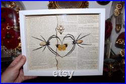 Cadre araignée Nephila vitiana véritable naturalisé encadrée cabinet de curiosité collection sorcière odditites Witch decor coeur dark love Cadre araignée Nephila vitiana véritable naturalisé encadrée cabinet de curiosité collection sorcière odditites Witch decor coeur dark love
