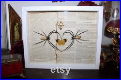 Cadre araignée Nephila vitiana véritable naturalisé encadrée cabinet de curiosité collection sorcière odditites Witch decor coeur dark love Cadre araignée Nephila vitiana véritable naturalisé encadrée cabinet de curiosité collection sorcière odditites Witch decor coeur dark love