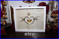 Cadre araignée Nephila vitiana véritable naturalisé encadrée cabinet de curiosité collection sorcière odditites Witch decor coeur dark love Cadre araignée Nephila vitiana véritable naturalisé encadrée cabinet de curiosité collection sorcière odditites Witch decor coeur dark love