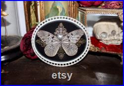Cadre bombé ancien papillon le grand planeur idea leuconoe cabinet curiosité entomologie naturalisé taxidermie witch decor Cadre bombé ancien papillon le grand planeur idea leuconoe cabinet curiosité entomologie naturalisé taxidermie witch decor