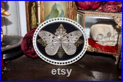 Cadre bombé ancien papillon le grand planeur idea leuconoe cabinet curiosité entomologie naturalisé taxidermie witch decor Cadre bombé ancien papillon le grand planeur idea leuconoe cabinet curiosité entomologie naturalisé taxidermie witch decor