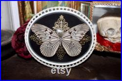 Cadre bombé ancien papillon le grand planeur idea leuconoe cabinet curiosité entomologie naturalisé taxidermie witch decor Cadre bombé ancien papillon le grand planeur idea leuconoe cabinet curiosité entomologie naturalisé taxidermie witch decor