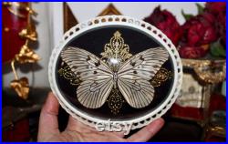 Cadre bombé ancien papillon le grand planeur idea leuconoe cabinet curiosité entomologie naturalisé taxidermie witch decor Cadre bombé ancien papillon le grand planeur idea leuconoe cabinet curiosité entomologie naturalisé taxidermie witch decor