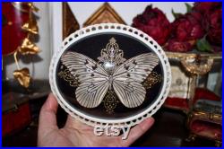 Cadre bombé ancien papillon le grand planeur idea leuconoe cabinet curiosité entomologie naturalisé taxidermie witch decor Cadre bombé ancien papillon le grand planeur idea leuconoe cabinet curiosité entomologie naturalisé taxidermie witch decor