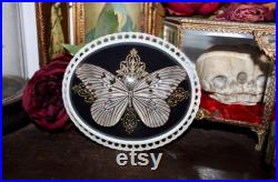 Cadre bombé ancien papillon le grand planeur idea leuconoe cabinet curiosité entomologie naturalisé taxidermie witch decor Cadre bombé ancien papillon le grand planeur idea leuconoe cabinet curiosité entomologie naturalisé taxidermie witch decor