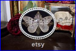 Cadre bombé ancien papillon le grand planeur idea leuconoe cabinet curiosité entomologie naturalisé taxidermie witch decor Cadre bombé ancien papillon le grand planeur idea leuconoe cabinet curiosité entomologie naturalisé taxidermie witch decor