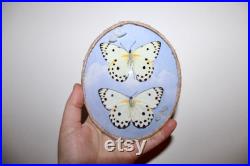 Cadre entomologie papillon véritable duo taxidermy curiosities oddities verre bombé old france butterfly belenois calypso galaxy