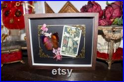 Cadre entomologie papillon véritable taxidermy curiosities oddities verre bombé old france butterfly tarot the tower salamis anteva