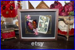 Cadre entomologie papillon véritable taxidermy curiosities oddities verre bombé old france butterfly tarot the tower salamis anteva