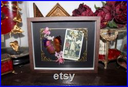 Cadre entomologie papillon véritable taxidermy curiosities oddities verre bombé old france butterfly tarot the tower salamis anteva