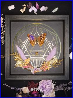 Cadre mural papillon taxidermie curiosités déco gothique sorcière pierre et fleurs naturelles