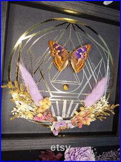 Cadre mural papillon taxidermie curiosités déco gothique sorcière pierre et fleurs naturelles