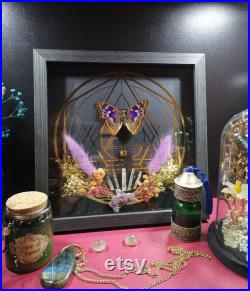 Cadre mural papillon taxidermie curiosités déco gothique sorcière pierre et fleurs naturelles