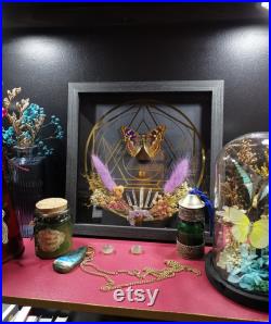 Cadre mural papillon taxidermie curiosités déco gothique sorcière pierre et fleurs naturelles