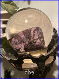 Caméléon Globe de spécimen humide