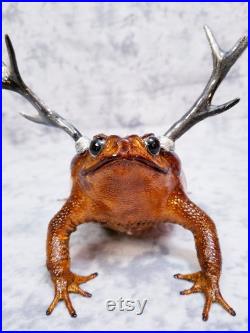 Canne Crapaud Taxidermie Bizarreries Jackalope Bois grenouille Horny Toad lézard
