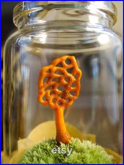 Champignon en verre orange sur mousse naturelle dans un flacon en verre d'apothicaire pour cabinet de curiosité et collection rare