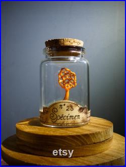 Champignon en verre orange sur mousse naturelle dans un flacon en verre d'apothicaire pour cabinet de curiosité et collection rare