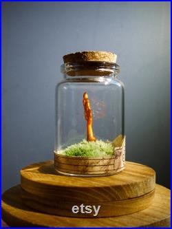 Champignon en verre orange sur mousse naturelle dans un flacon en verre d'apothicaire pour cabinet de curiosité et collection rare