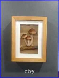Champignons Factice Modèle Scientifique Encadré Diorama Trompe l'oeil Vintage Mycologie Cabinet Curiosités Taxidermie Apothicaire Pharmacie Champignons Factice Modèle Scientifique Encadré Diorama Trompe l'oeil Vintage Mycologie Cabinet Curiosités Taxidermie Apothicaire Pharmacie