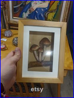 Champignons Factice Modèle Scientifique Encadré Diorama Trompe l'oeil Vintage Mycologie Cabinet Curiosités Taxidermie Apothicaire Pharmacie Champignons Factice Modèle Scientifique Encadré Diorama Trompe l'oeil Vintage Mycologie Cabinet Curiosités Taxidermie Apothicaire Pharmacie