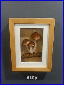 Champignons Factice Modèle Scientifique Encadré Diorama Trompe l'oeil Vintage Mycologie Cabinet Curiosités Taxidermie Apothicaire Pharmacie Champignons Factice Modèle Scientifique Encadré Diorama Trompe l'oeil Vintage Mycologie Cabinet Curiosités Taxidermie Apothicaire Pharmacie