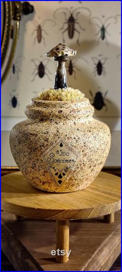 Champignons en verre sur un vase en céramique pour cabinet de curiosité et collection mycologie