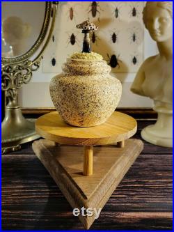 Champignons en verre sur un vase en céramique pour cabinet de curiosité et collection mycologie