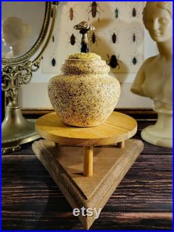 Champignons en verre sur un vase en céramique pour cabinet de curiosité et collection mycologie