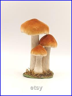 Champignons modèle scientifique mousse Mycologie cabinet de Curiosités Vintage taxidermie apothicaire pharmacie