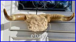 Chasse trophée art populaire corne taxidermie vache taureau crâne