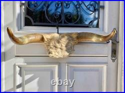 Chasse trophée art populaire corne taxidermie vache taureau crâne