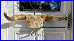 Chasse trophée art populaire corne taxidermie vache taureau crâne
