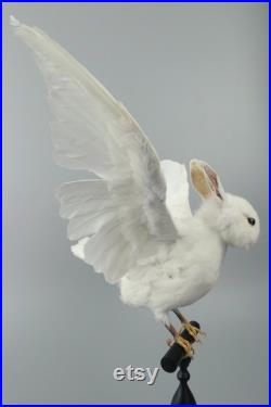 Chimère Pipin blanc, mi-pigeon mi-lapin, sur son perchoir Cabinet de curiosités