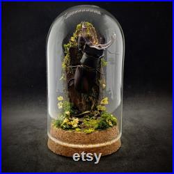 Cloche entomologique d'un scarabée, lucanus cervus mâle, diorama naturel, milieu forestier, collection insectes, cabinet de curiosités, deco