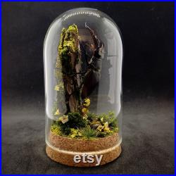 Cloche entomologique d'un scarabée, lucanus cervus mâle, diorama naturel, milieu forestier, collection insectes, cabinet de curiosités, deco