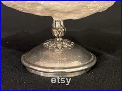 Coquillage Bénitier ancien sur pied métal argenté XIXe XXe cabinet de curiosités pièce unique collection vide-poches socle coupe