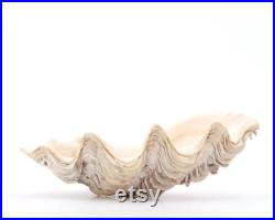 Coquillage ancien petit bénitier ou Tridacne, années 70 bohème chic, folk, nature, naturel, boho, porte savon, salle de bain